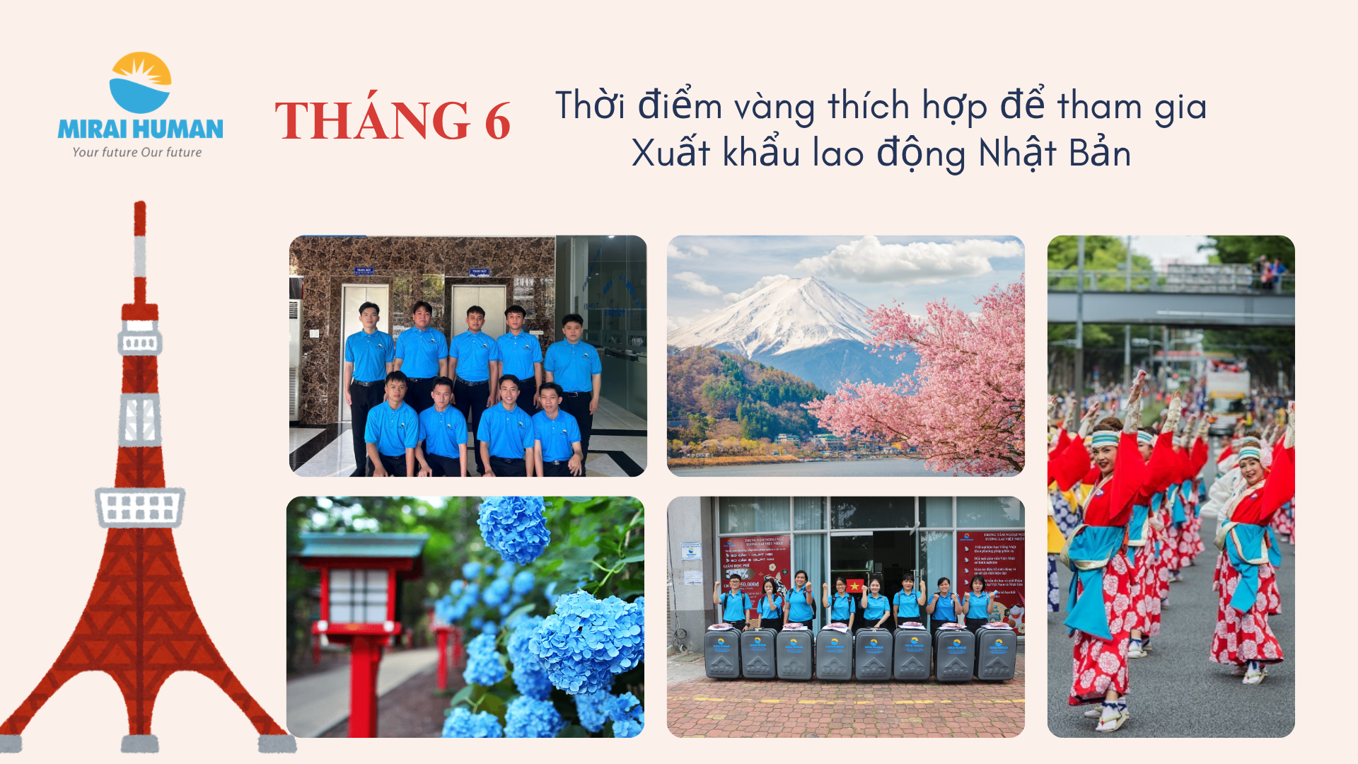 lao động Nhật Bản